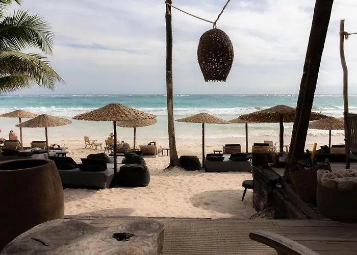 Apartment Secluded Jungle Free Access To Club *