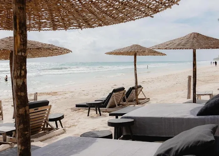 Secluded Jungle Free Access To Club